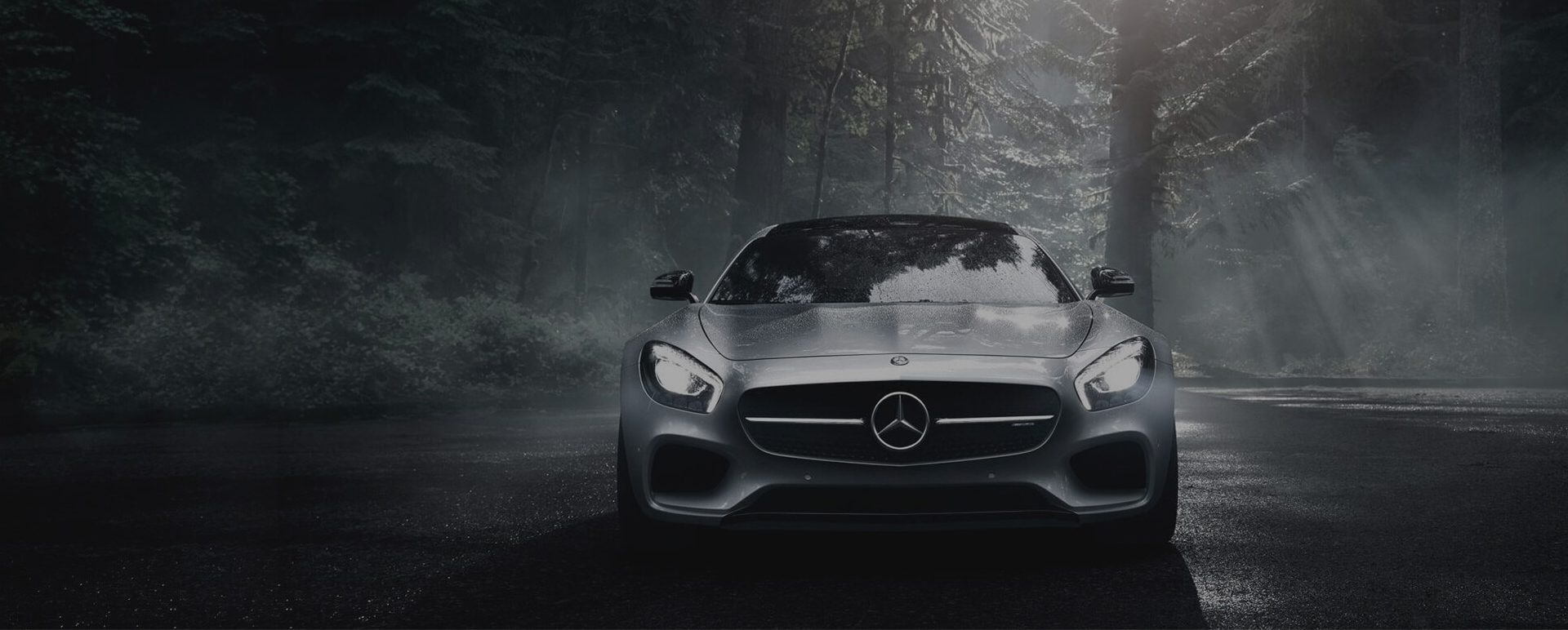 Silver performance car in a forest
